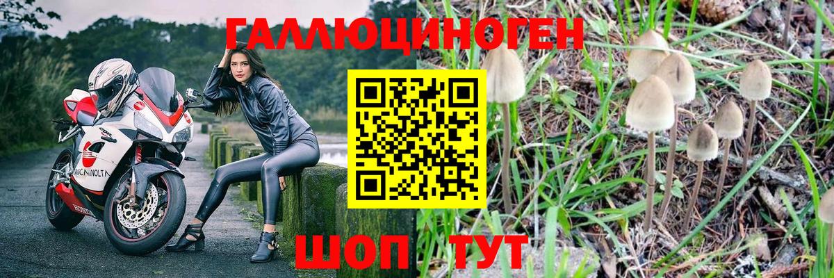 Полевской  Псилоцибиновые грибы прущие грибы  Вход с VPN 
