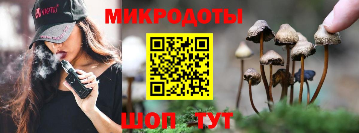 Галлюциногенные грибы Psilocybine cubensis Полевской